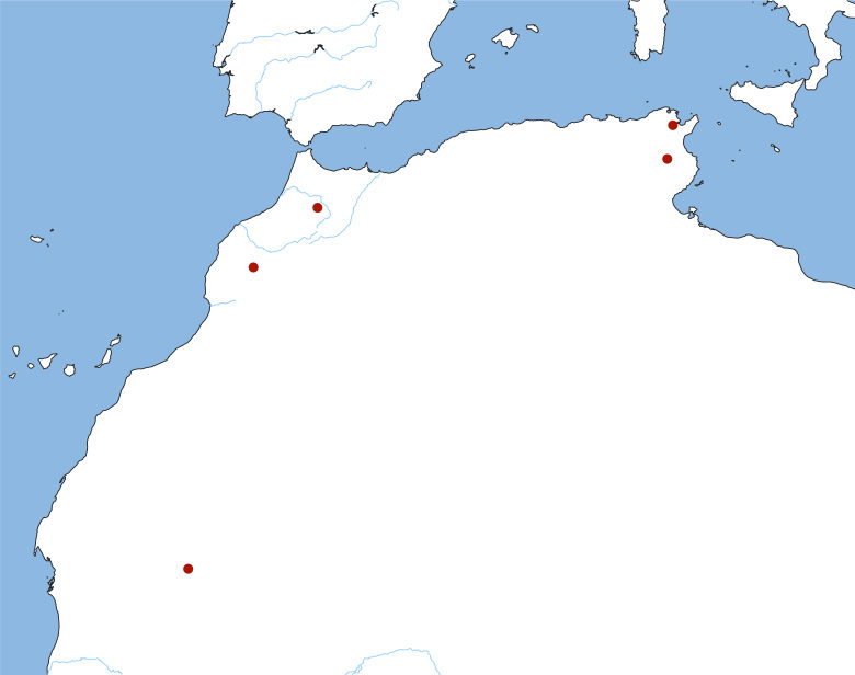 Historic centres of learning in the Maghreb