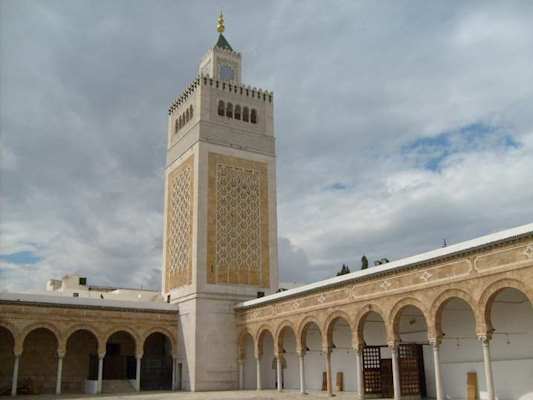 What is shown in the picture?